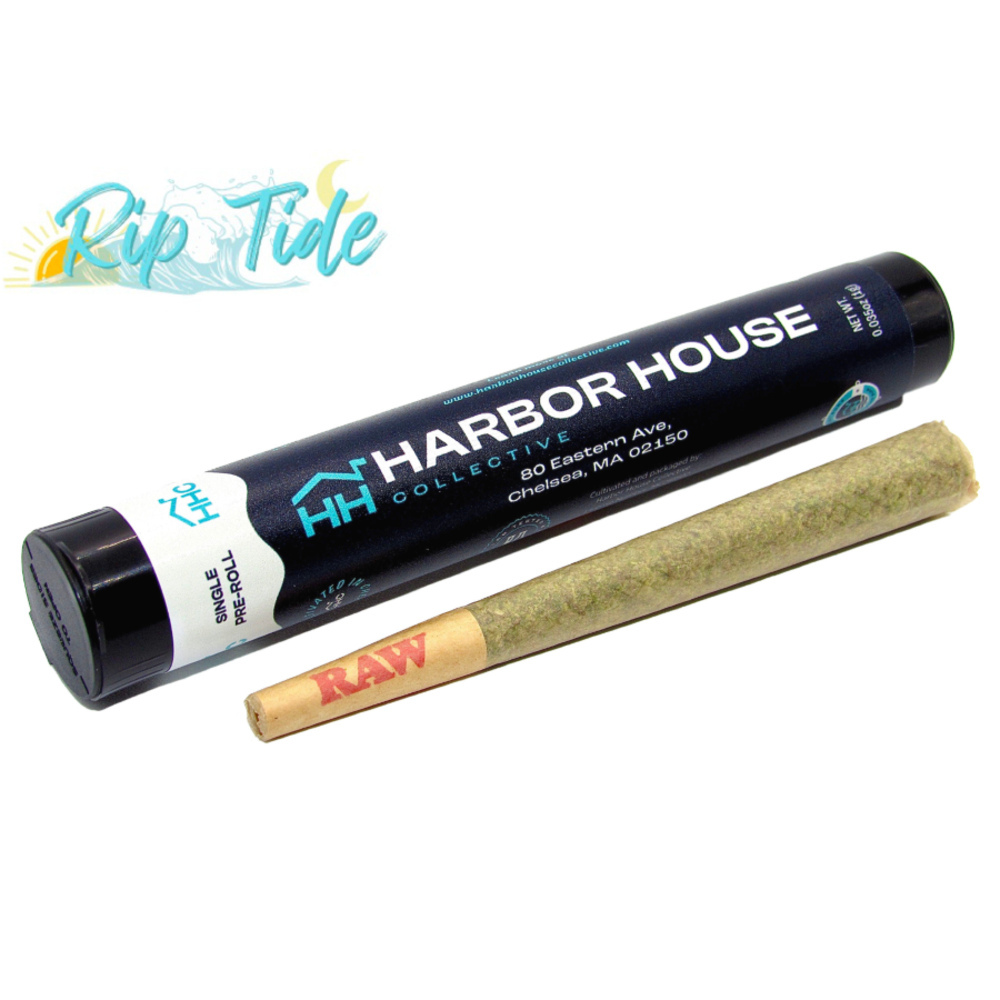 Orange 43 | Pre-Roll | 1g product photo