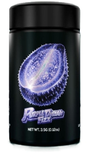 High Vibration | Purple Durian Fizz Flower