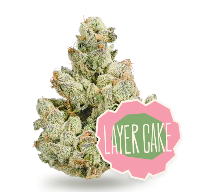 DISTRICT Layer Cake Ground Bud 10g