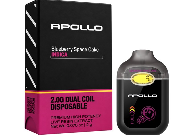 Blueberry Space Cake | AIO | 2g