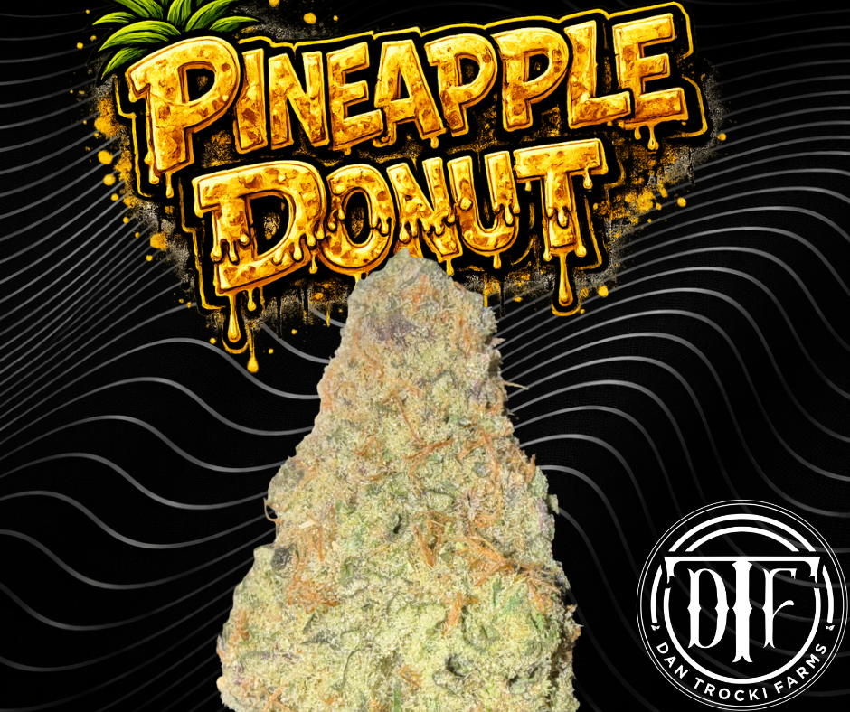 Dan Trocki Farms | Pineapple Donut | Flower | 3.5 g