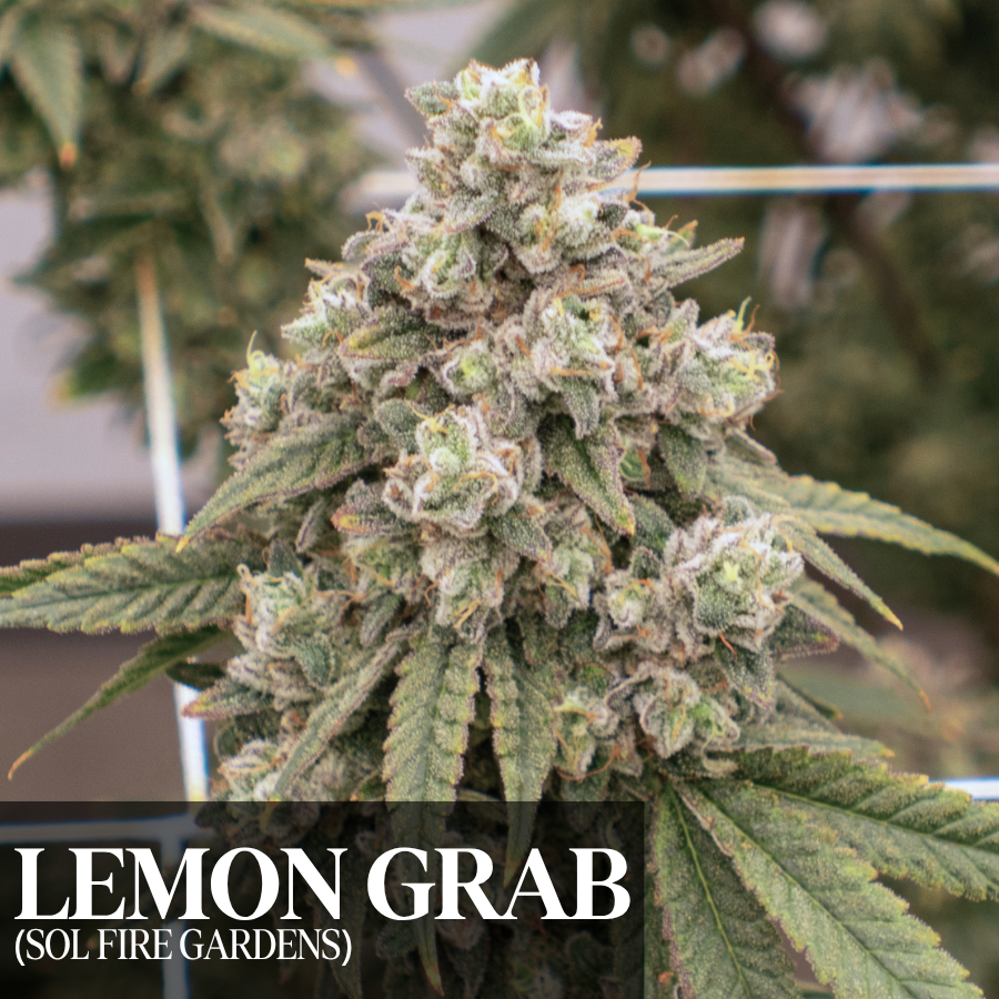 Lemon Grab