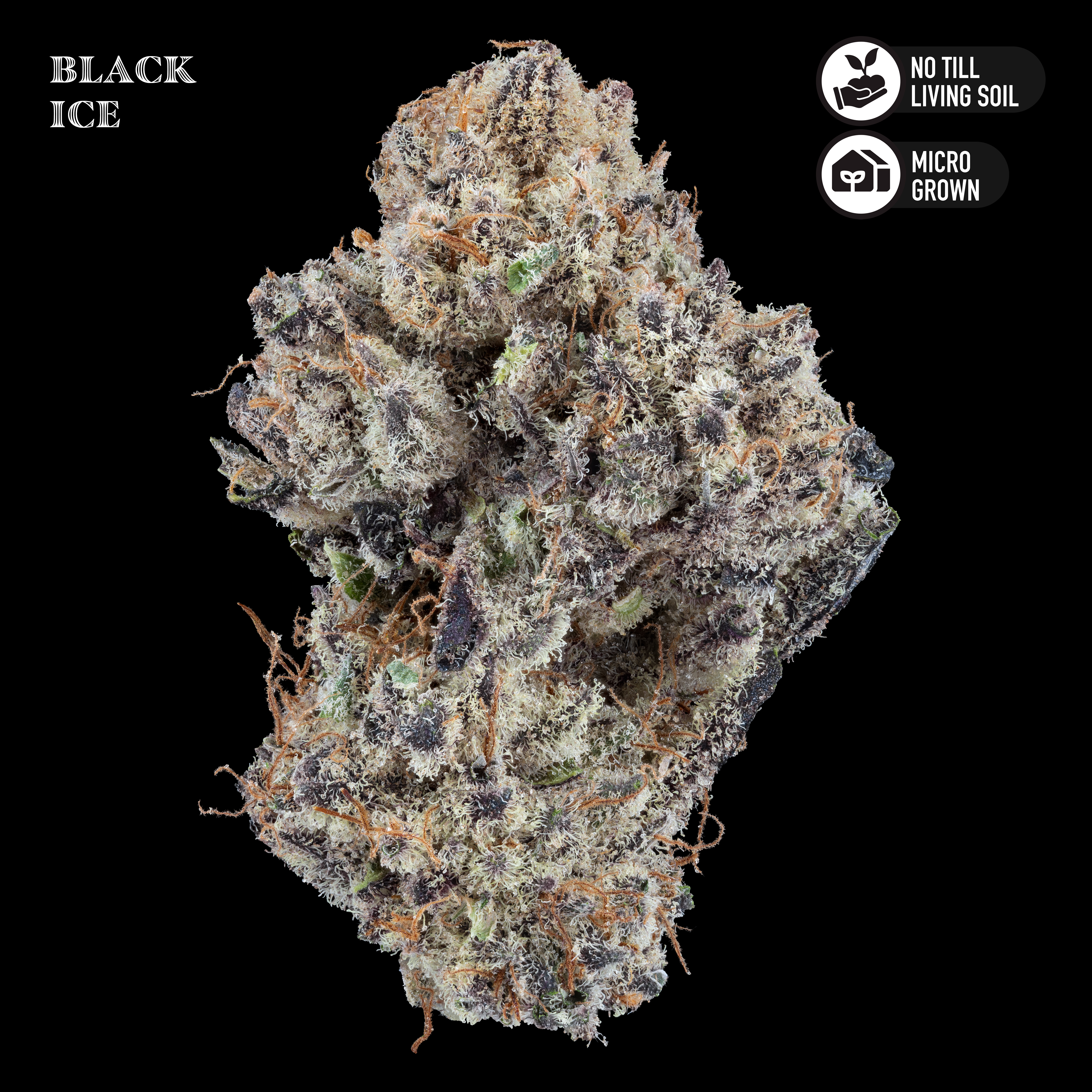 Black Ice 3.5g Flower Jar