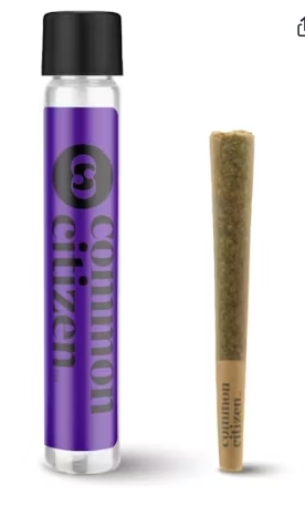 Common Citizen - Gerry Peyton FF PreRoll