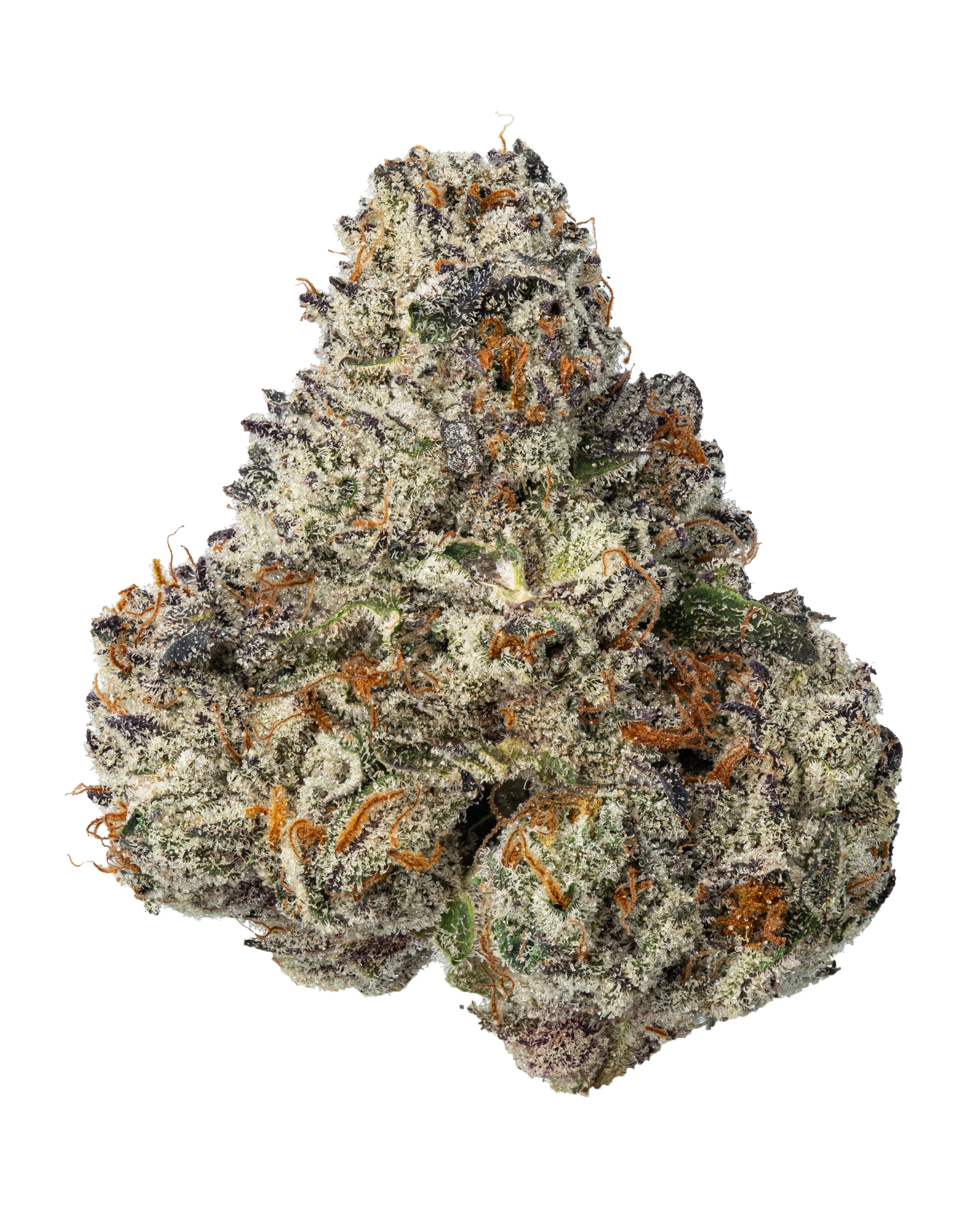 Fresh | Fiji Sunset | 3.5g