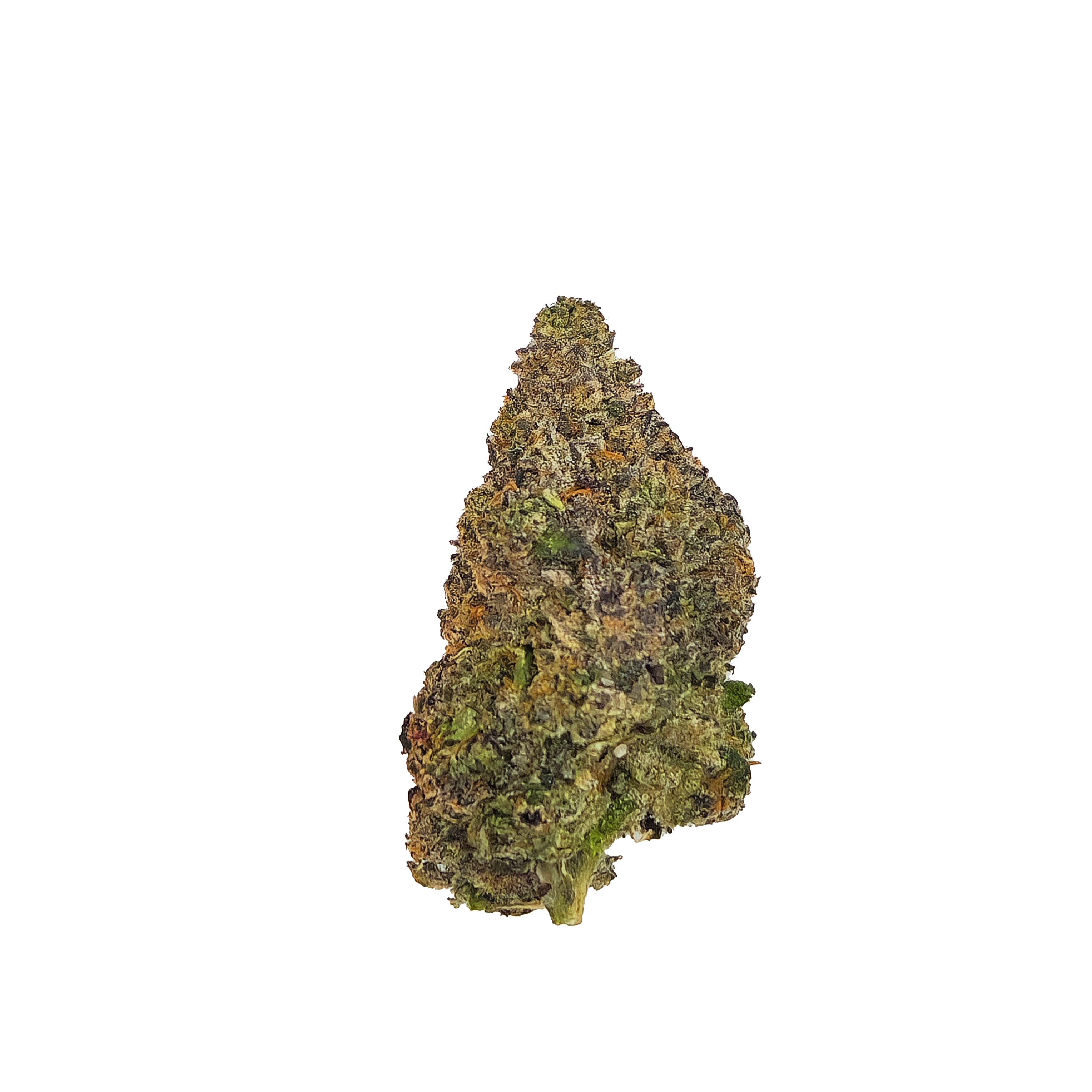 Sherb Cream Pie Flower