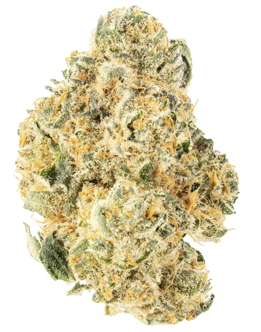 Violet Fog | Flower |