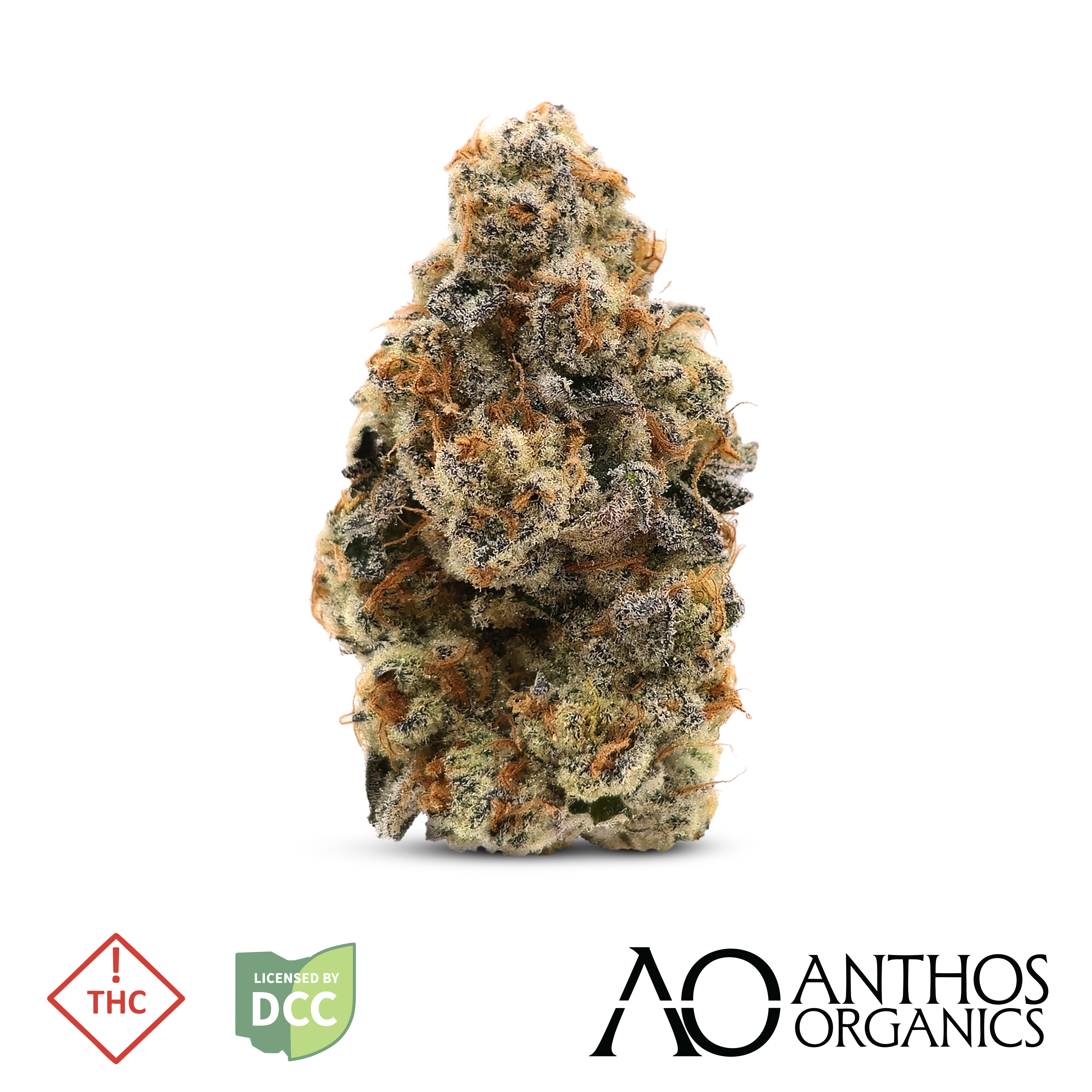 Premium | Glitter Bomb | 2.83g