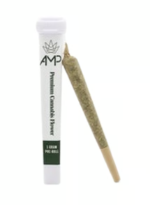 AMP | Glue | Preroll product photo