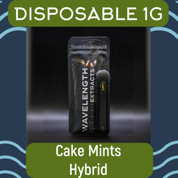 Wavelength | 1g | Cake Mints | Disposable