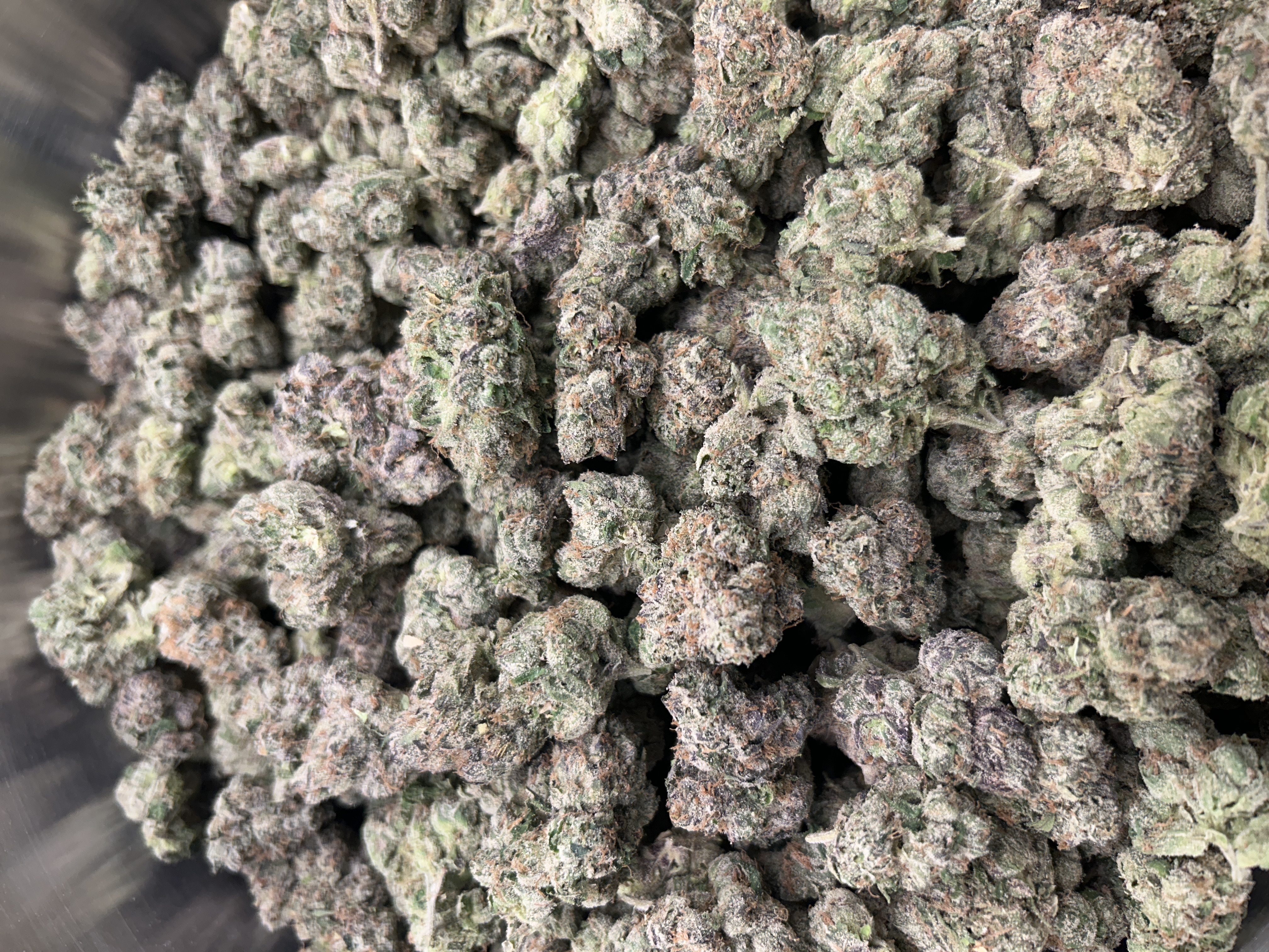 Blue Gas Can | Buds | 2.1% Terps