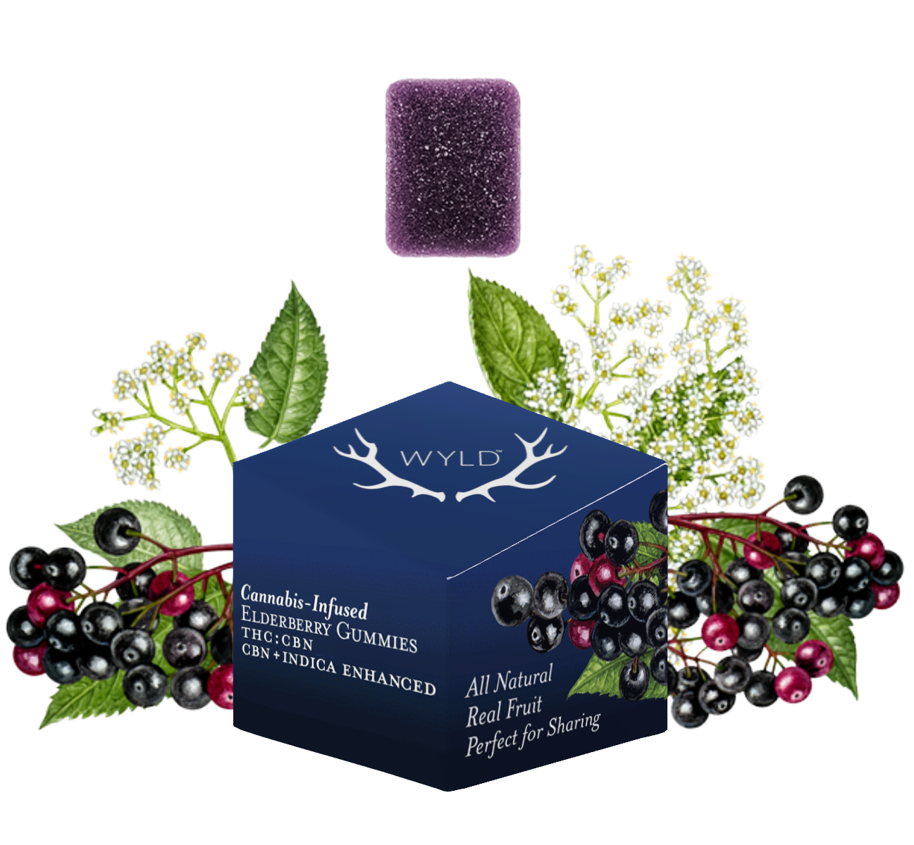 100mg 2:1 THC/CBN Elderberry Gummies