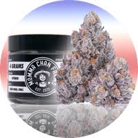 Rainier Cherry Gelato