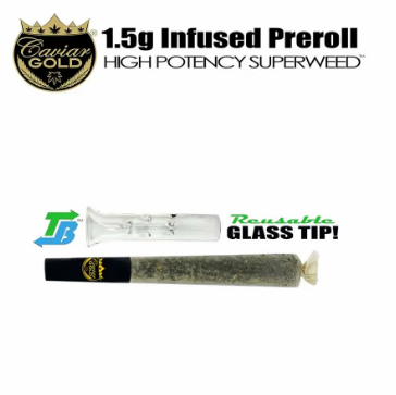 Caviar Gold | CG58 | 1.5g Infused Glass Tip Preroll