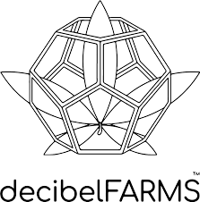 Decibel | Forte Cured Hash Sheesh #5
