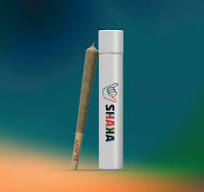 Shaka | Peach Ringz | Preroll | 1G