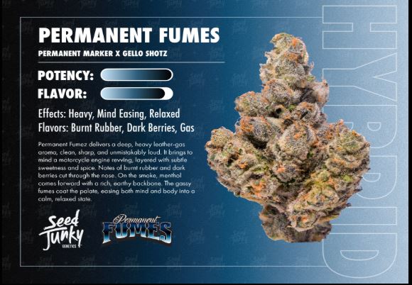 Flower | Pre-Packed | Permanent Fumes | 3.5g | Seed Junky