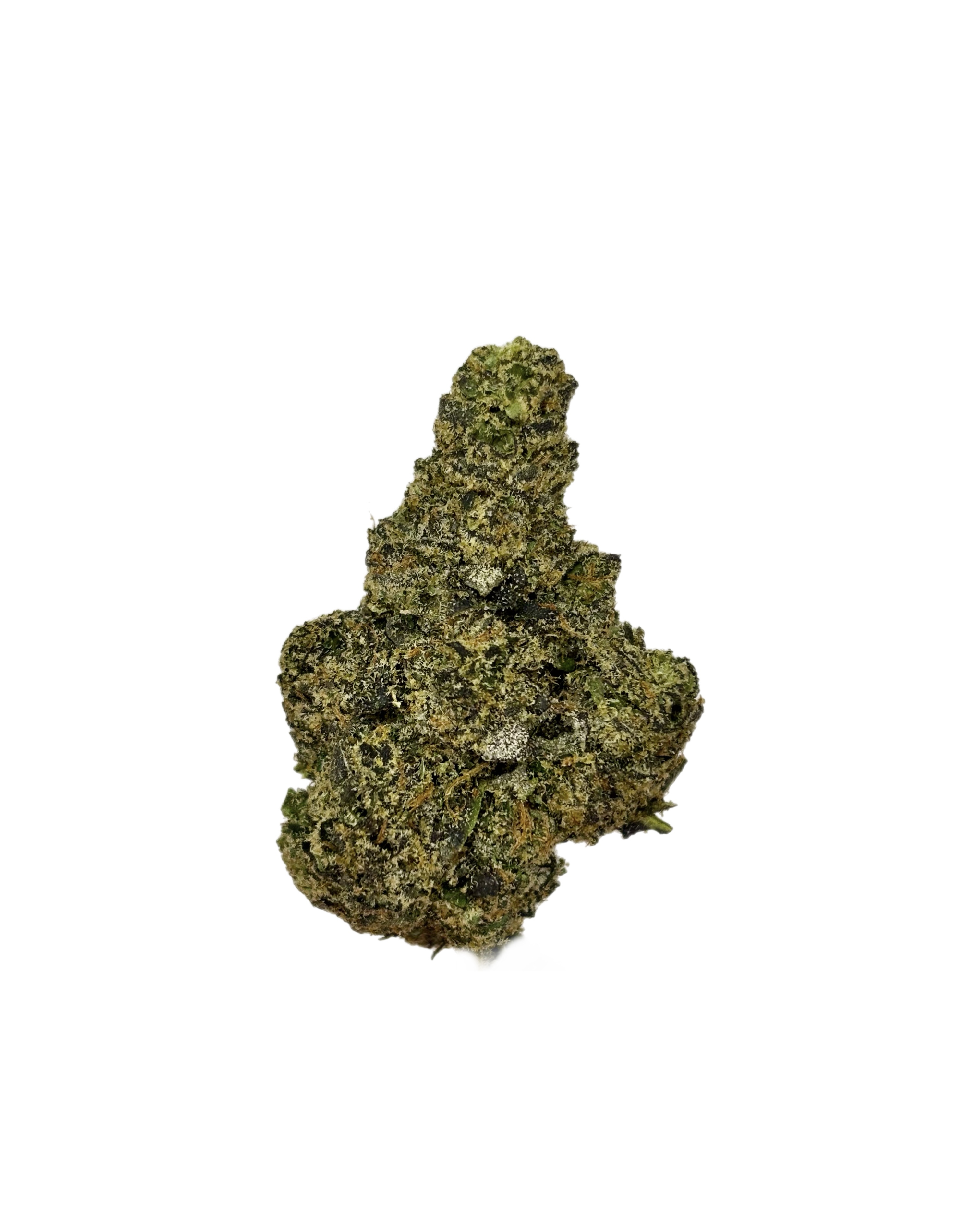Sherb Cream Pie | Bulk Flower | Yellow Tier