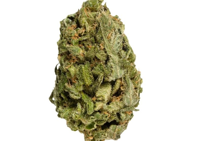 All Purpose Flower Sativa