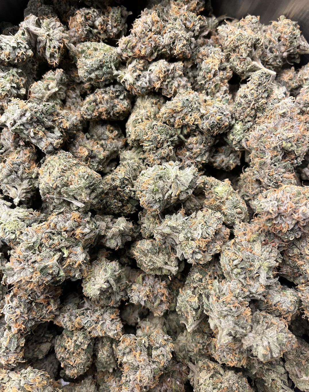 HAZEL | Ethiopian Red | Buds | 2% Terps (1g) product photo