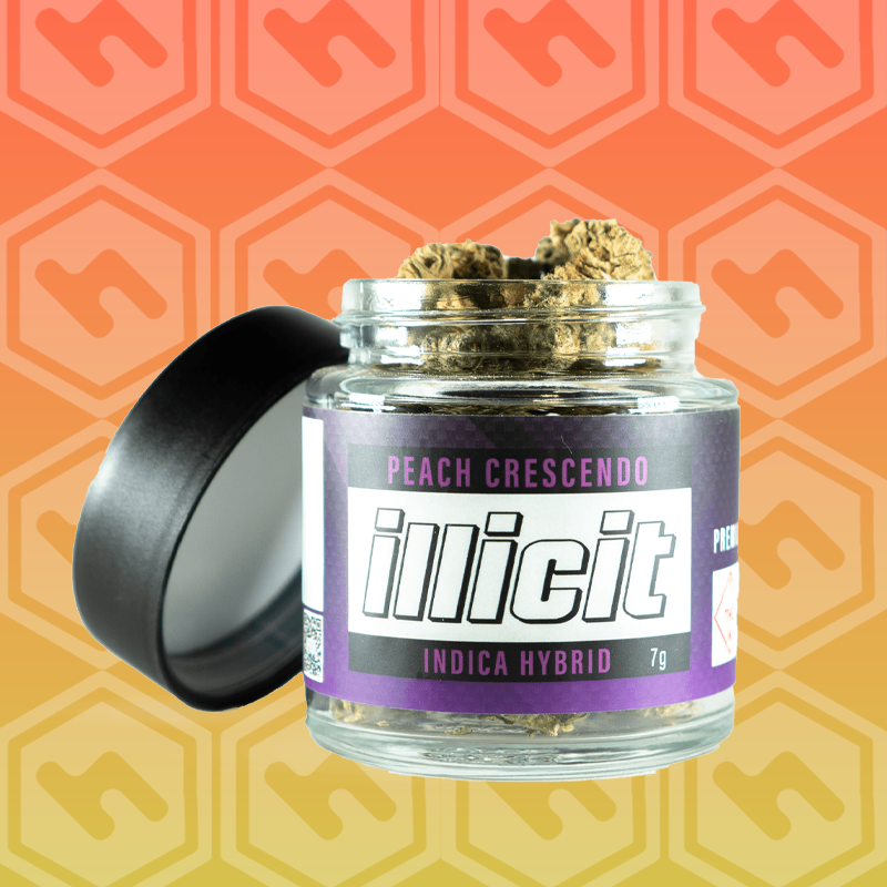 Illicit Gardens | Peach Crescendo | 7g