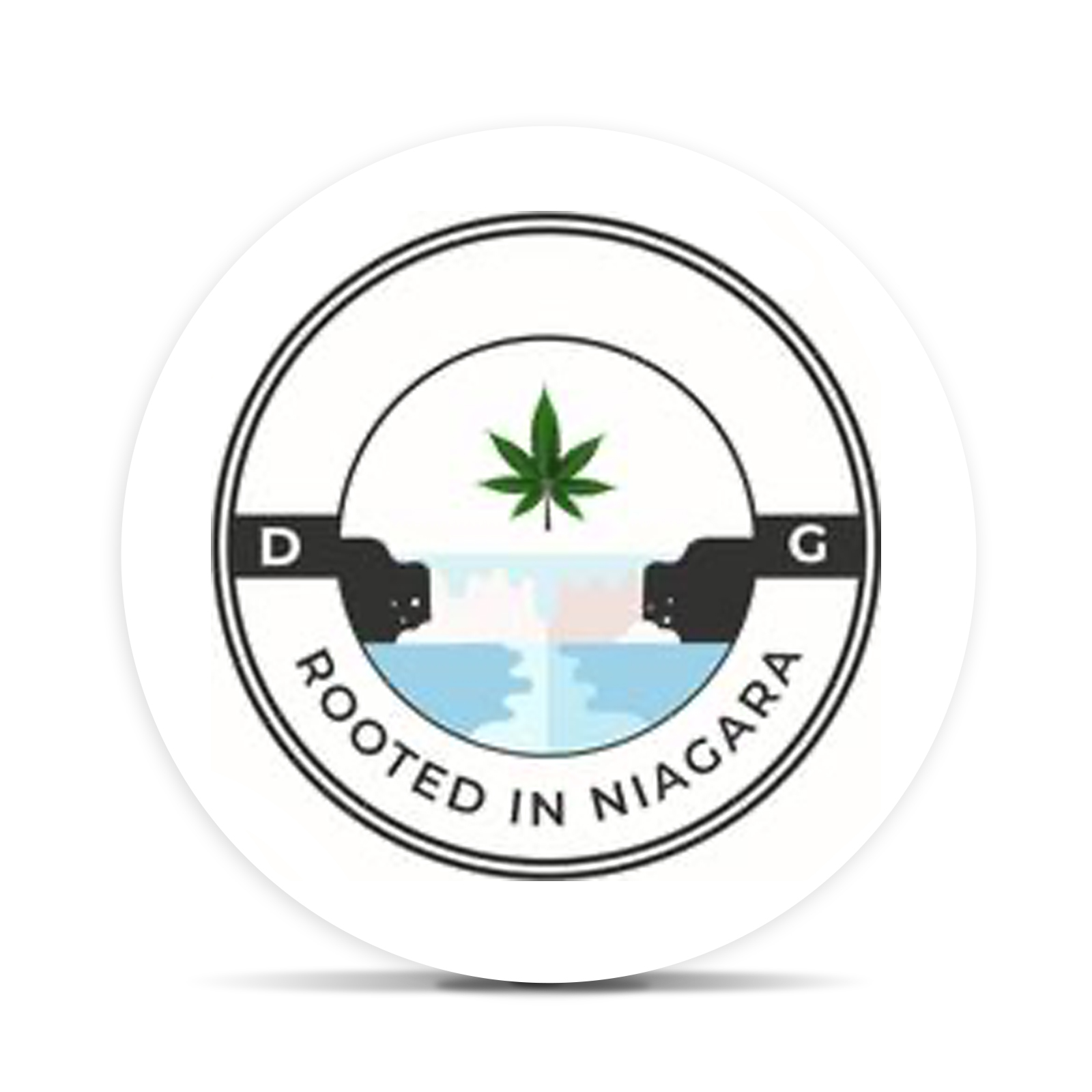 Dg Sweet Venom Pre Roll