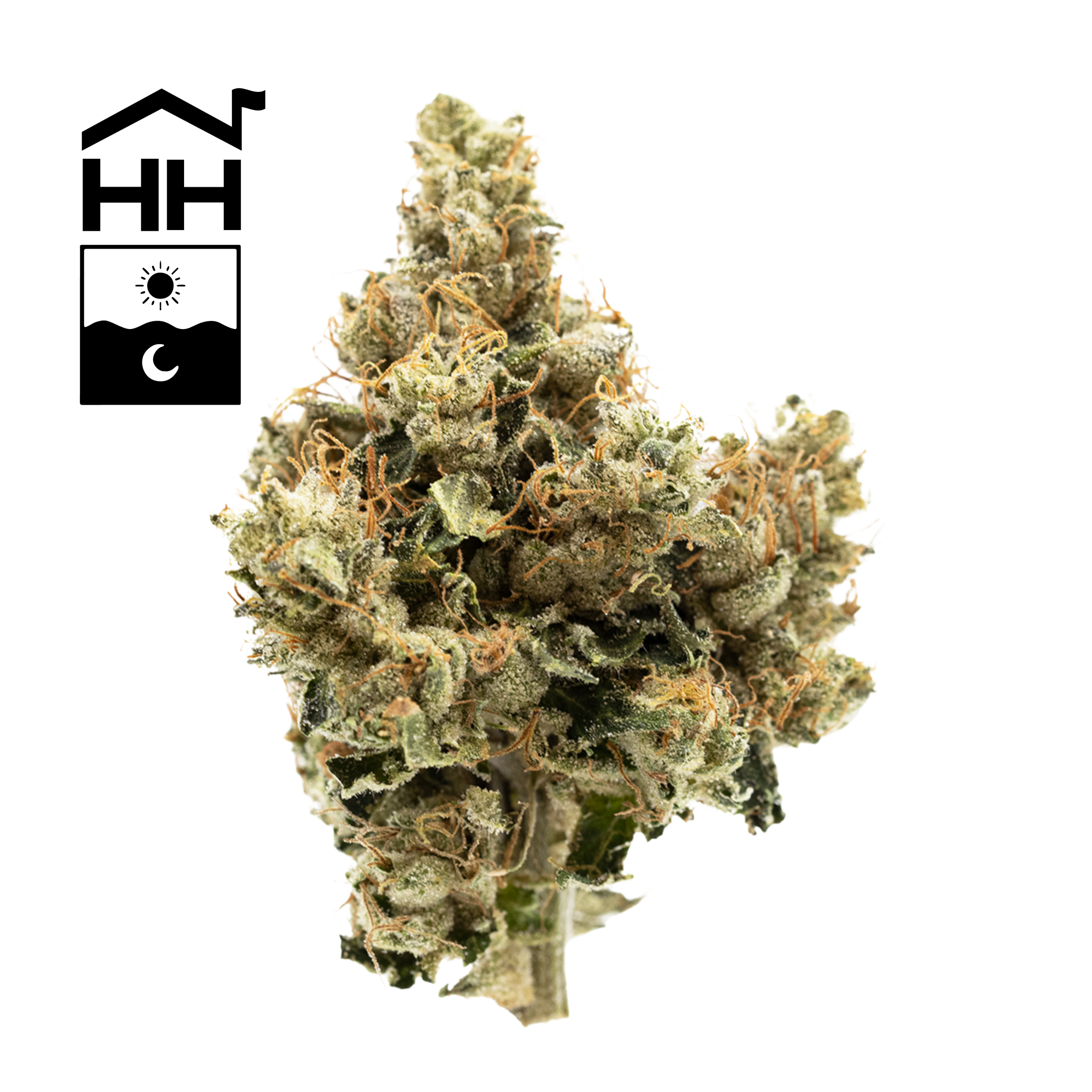 Chem 91