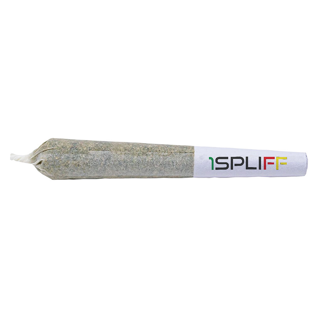 1 Spliff - Orange Rntz Pre-Rolls - 10x0.35g