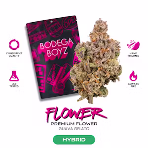 BODEGA BOYZ - GUAVA GELATO - 3.5G - HYBRID