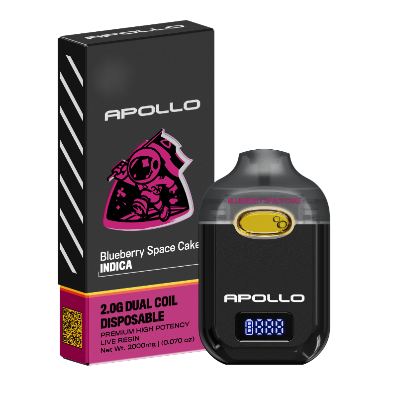 Aio Blueberry Space Cake