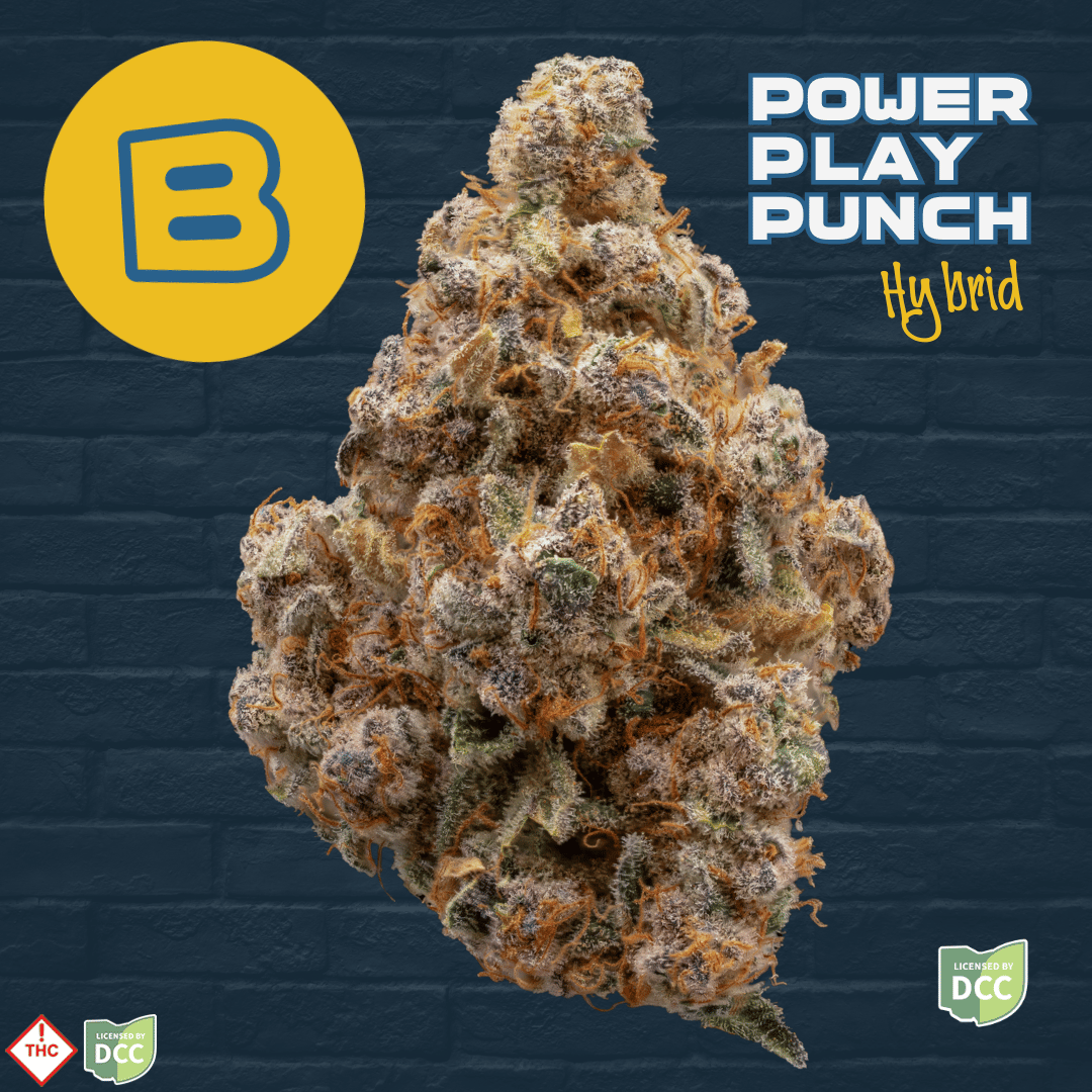Powerplay Punch - Flower - 3.5g