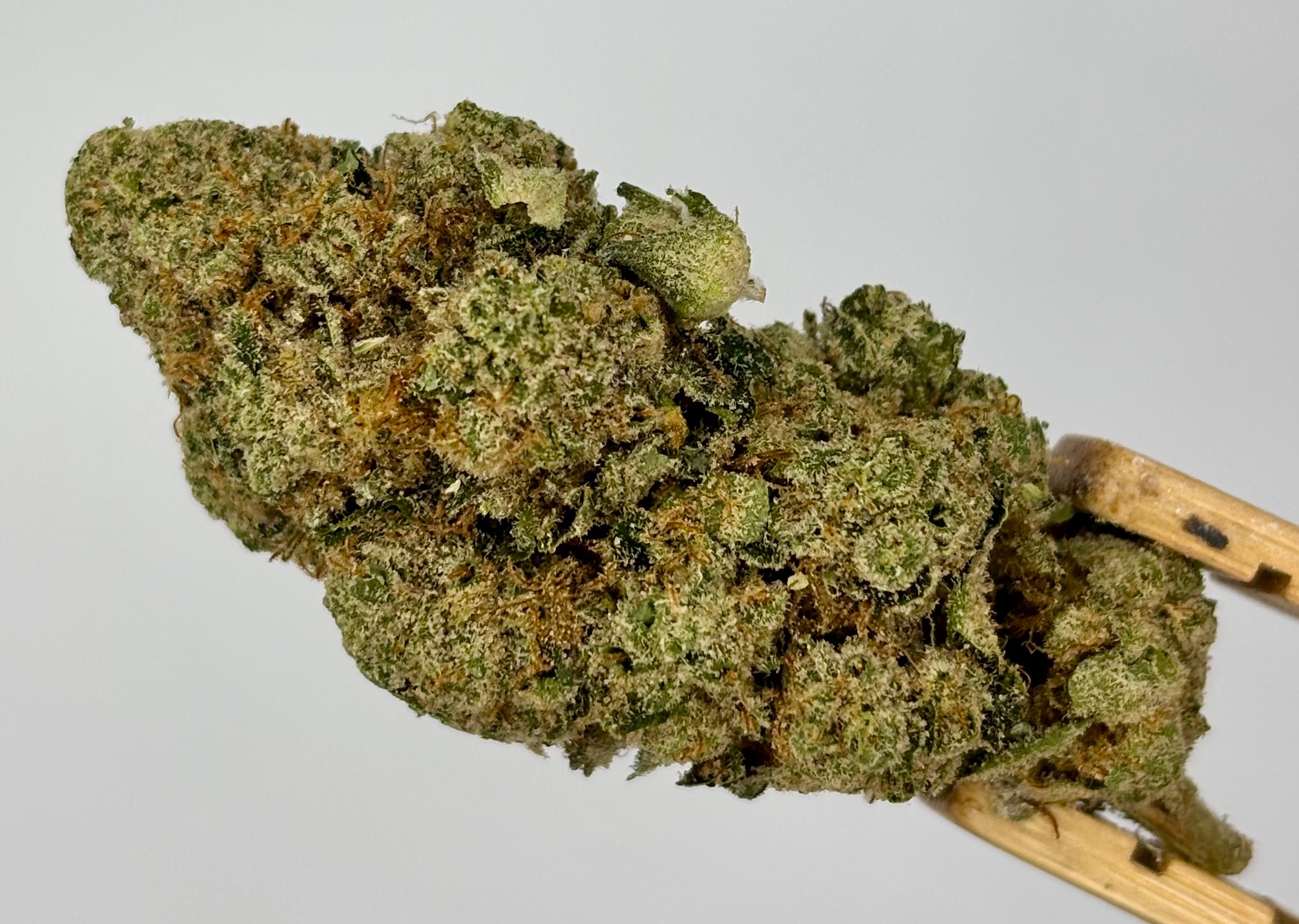 Oreoz Bulk Flower