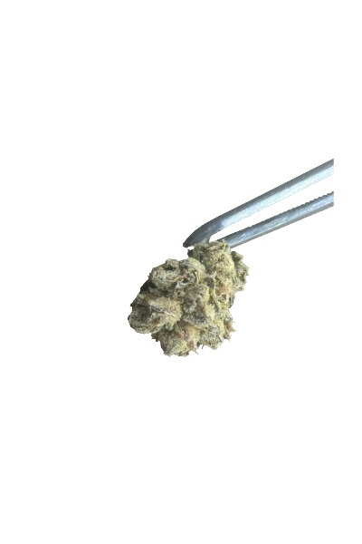 Premier Pre-Packaged Strawberries and Durban