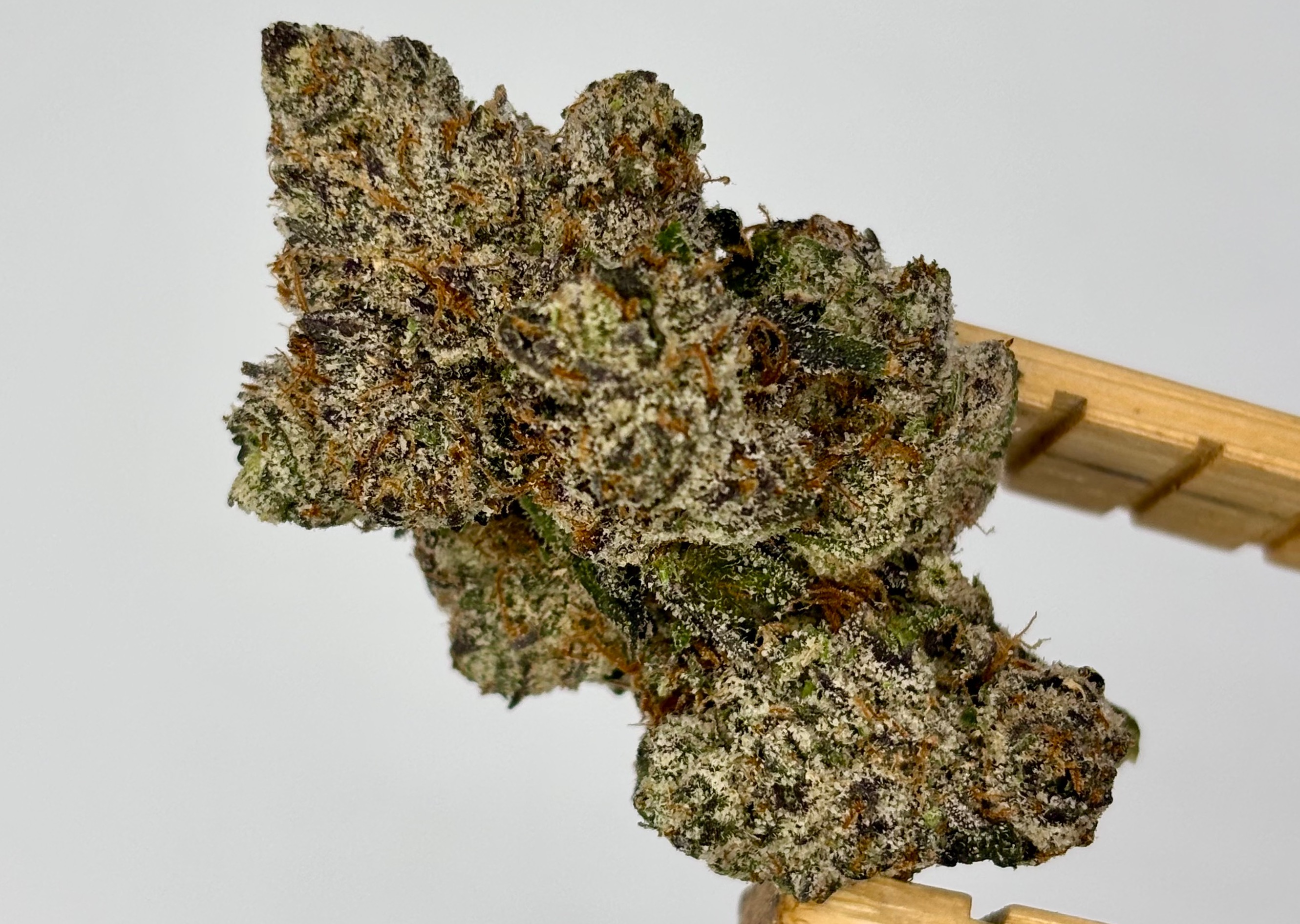 TruSmoke | Zorroz | Bulk Flower | Yellow Tier