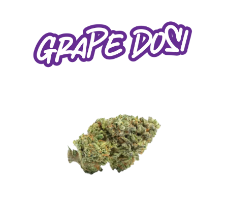 FADE CO. Grape Do-Si Small Buds 14g