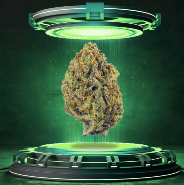 Big League Grape - Flower