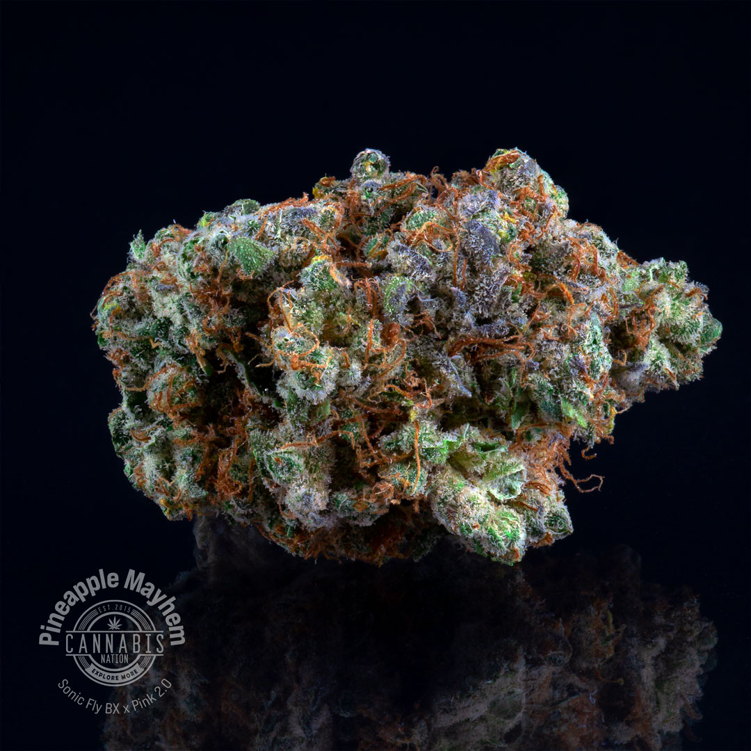 Flower | Pineapple Mayhem