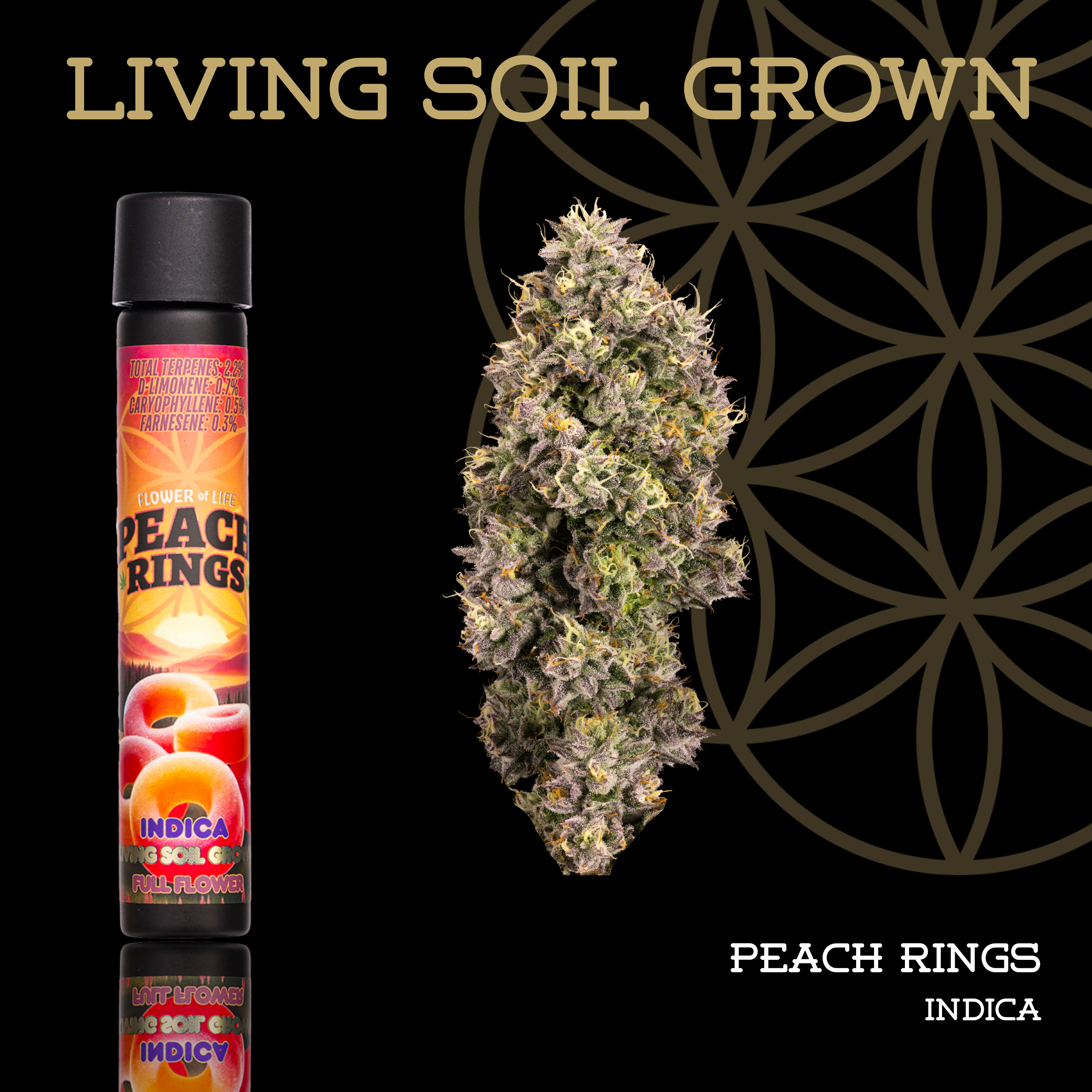 Living Soil | Peach Rings | Pre-Roll | 1g