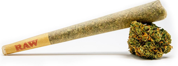 Hawaiian Dream Pre-Roll