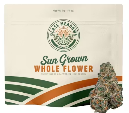 Glass Meadows - i95 - Small Buds