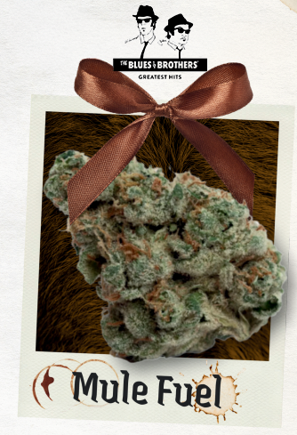 Mule Fuel | The Blues Brothers | Belushi's Farm | Single | 1.