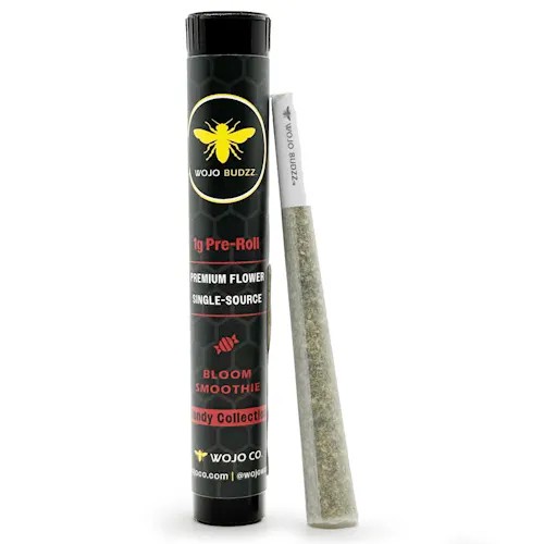 Wojo Hash Infused Pre-roll | Bloom Smoothie