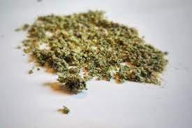 GG | Bud | Sub Zero (H)