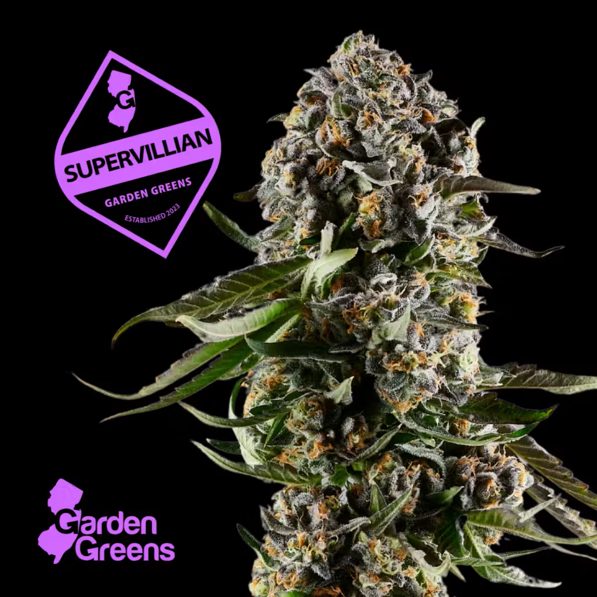 Garden Greens Super Villain Flower (REC)