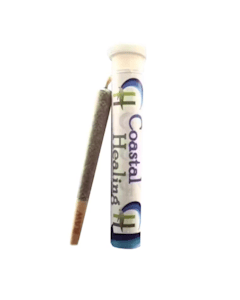 Chow Mein | 1g Pre Roll