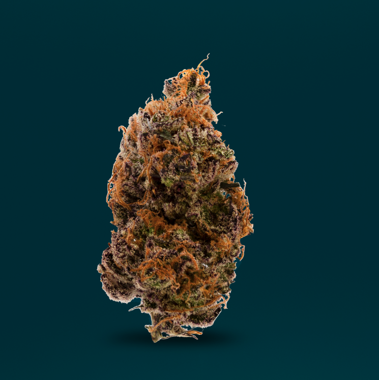 Island Cookies - Signature Flower