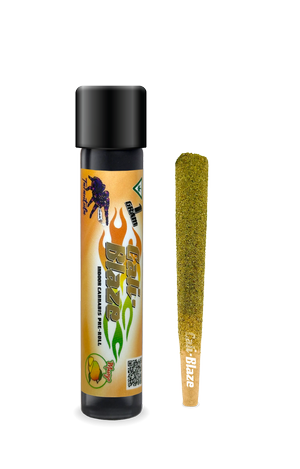 Infused Pre-Roll | Tarantula | Mango | 1g