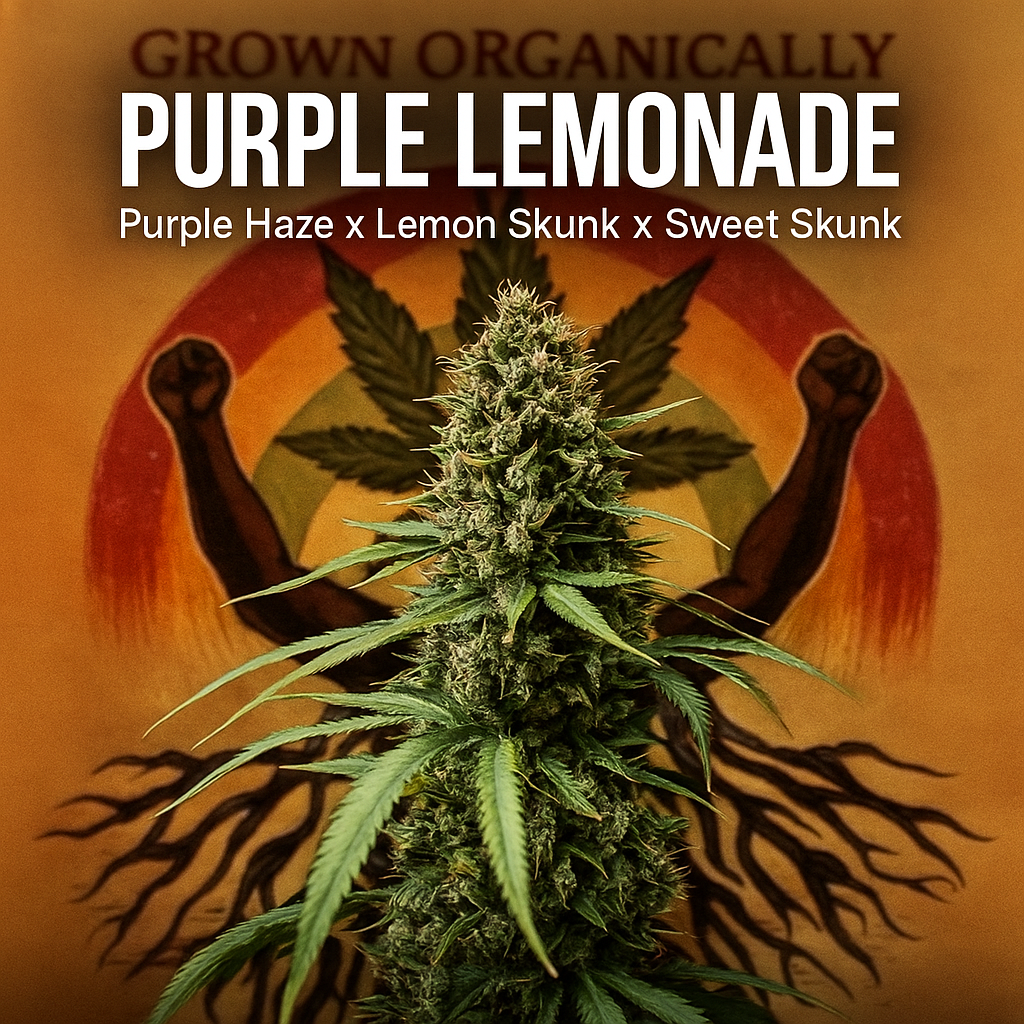 Purple Lemonade