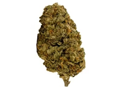 Citree Shake