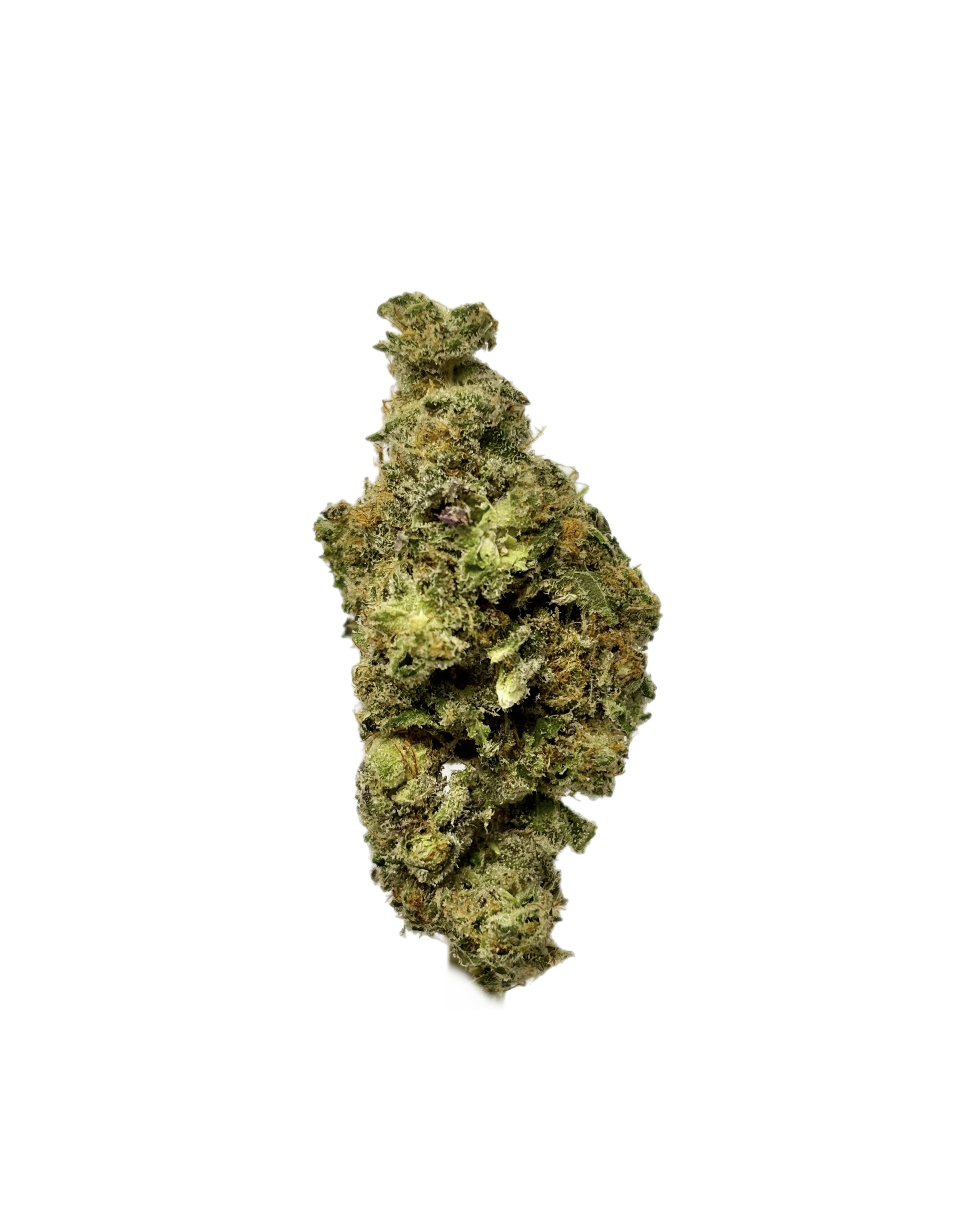 Trix Sherb Bulk Flower White